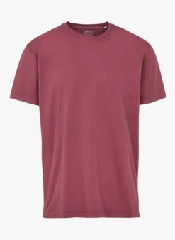 Colorful Standard Round-neck Organic Cotton T-shirt